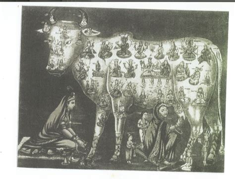 How calendar art helped make the cow a divine figure in India