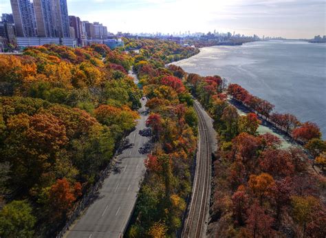 Fall Foliage in New York City (NYC) 2024 - Rove.me