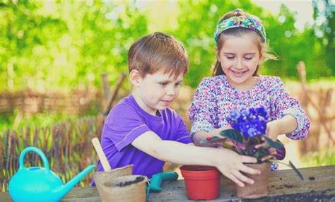 Hobbies for Kids 的图像结果