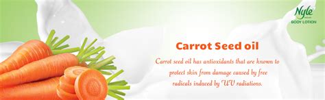 Buy Nyle Naturals Nourish and Smooth Body Lotion enriched with Carrot ...