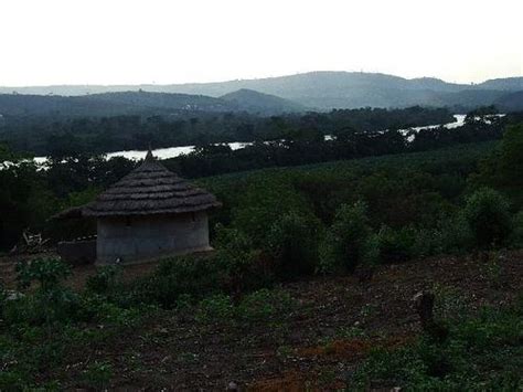BLACK STAR LIONS GUEST COTTAGES (Akosombo) - Hostel Reviews & Photos ...