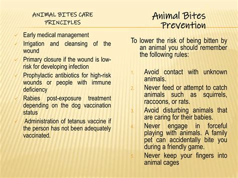 THE ANIMAL BITES AND WOUNDS | PDF