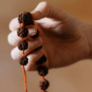 Zen Bells 9 Beads Natural Rudraksha Fruit - Nepali Original Rudraksh ...