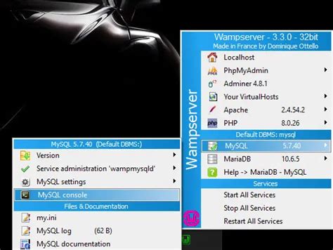 Image result for Wamp MySQL Password