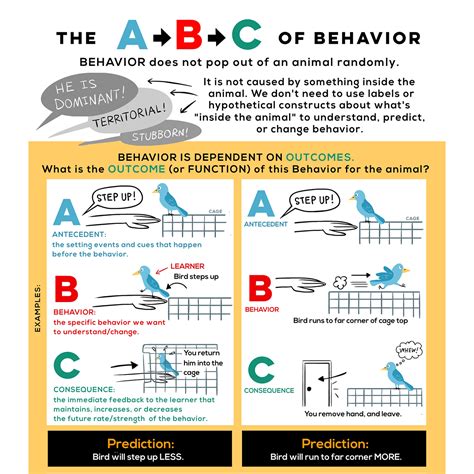 Image result for ABC and Functions of Behavior