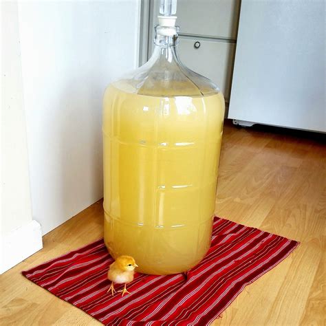 Cluck Wild Homestead: Mead (Honey Wine)