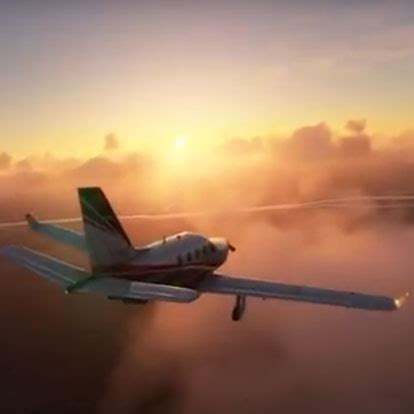 Image result for What Is Flight Simulator