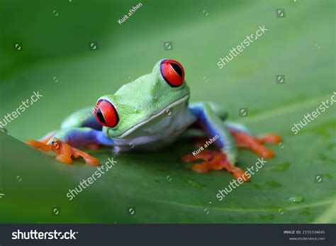 Image result for New Line JavaScript