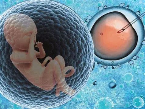 孕30周胎儿发育情况和注意事项 - 每日头条