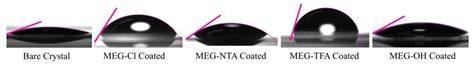 Surface Probe Linker with Tandem Anti-Fouling Properties for ...