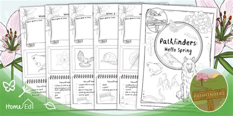 Pathfinders: Hello Spring Live Lesson Resource Pack - Twinkl