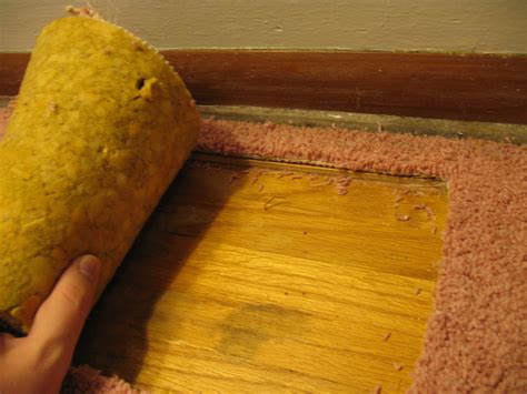 How To Remove Staples From Under Carpet | Homeminimalisite.com