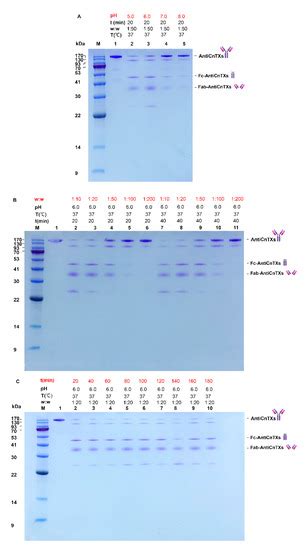 Preparation and Neutralization Efficacy of Novel Jellyfish Antivenoms ...