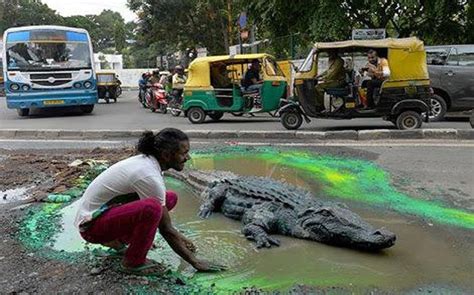 Made a mermaid: Artist in Bengaluru converts pothole into lake for ...