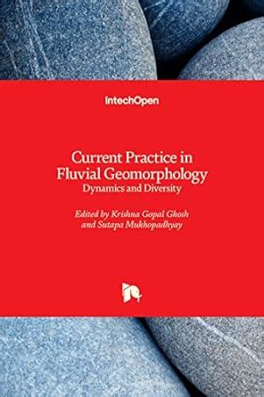 Buy Current Practice in Fluvial Geomorphology: Dynamics and Diversity ...