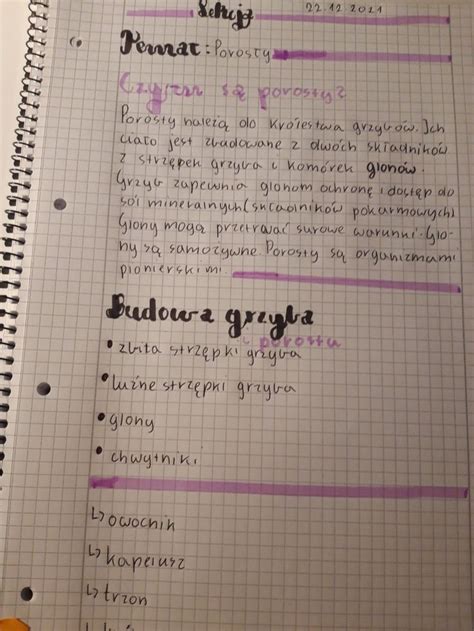 Image result for Study Notes Tik Tok