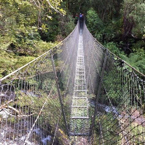POWELL HUT & MOUNT HOLDSWORTH TRACK (2026) All You Need to Know BEFORE ...