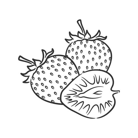 Strawberry Line Drawing