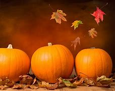 Image result for fall pumpkins
