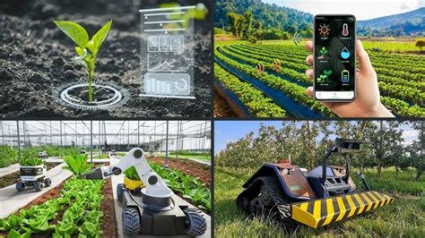 Image result for Tech Stack Used in Agriculture Software Python Java Coding Iot