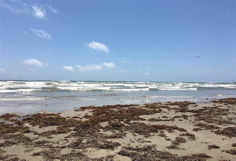 12 Spectacular Beaches to Visit in Brownsville, Texas | TouristSecrets