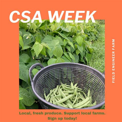 CSA Community Supported Agriculture 的图像结果