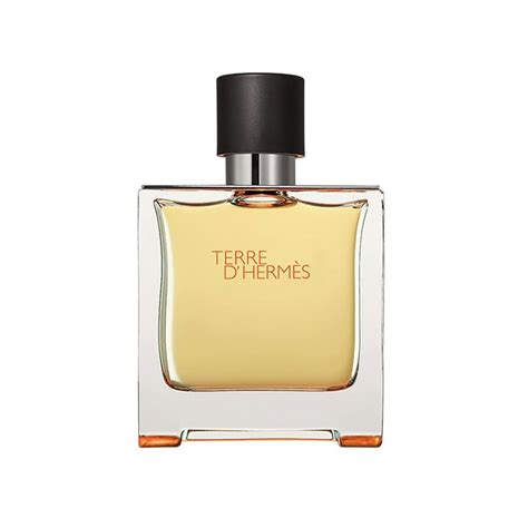 Buy HERMES Terre D' Parfum Spray for Men, Gold, 6.7 Fl Oz Online at Low ...