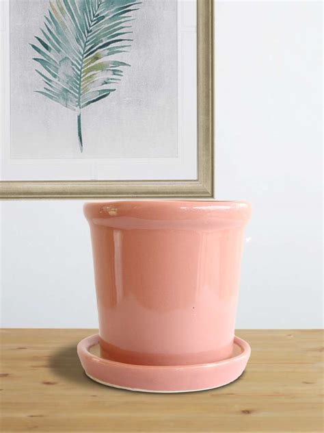 Elementary Salmon Pink Ceramic Planter with Tray – Greenkin