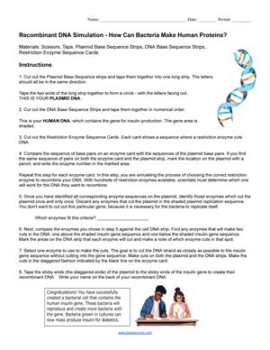 Image result for DNA Simulation Worksheet