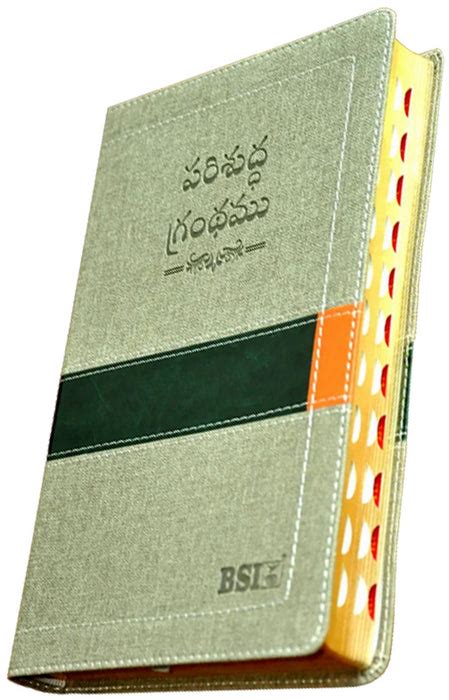 Telugu OV Gilt DY TI DuoTone Yaap | Telugu Bibles | Bibles in Telugu ...