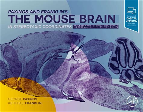 Buy Paxinos and Franklin's the Mouse Brain in Stereotaxic Coordinates ...
