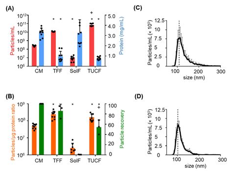 Hypoxic Conditions Promote the Angiogenic Potential of Human Induced ...