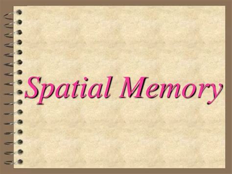 Image result for Spatial Memory Concept Map