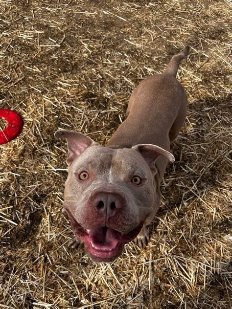 HAWS Visits Lions Tail Brewery, Lion's Tail Brewing Co., Neenah, 21 ...
