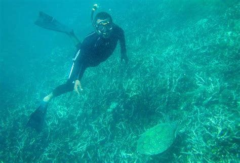 Polhena Beach (Matara) - 2020 What to Know Before You Go (with Photos ...