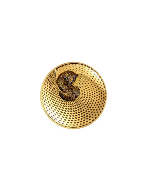 LEOPARD Camouflage of Nature Gilded 5 Oz Silver Coin 20$ Palau 2024...
