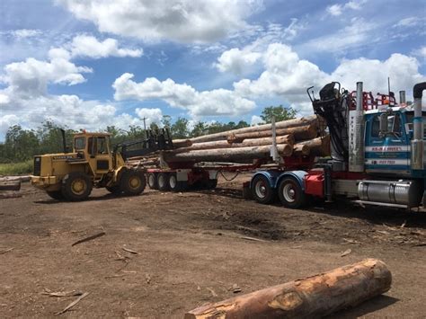 Image result for Timber Manufacturing Process