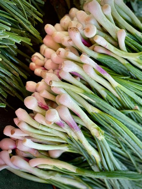 Holualoa Garden and Kitchen: A Paradise for Farm-to-Table - Bloomsies