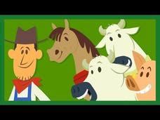 Image result for Copy HTML and CSS Code