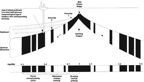 Sea Floor 的图像结果