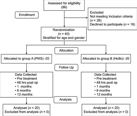 Image result for Random Allocation