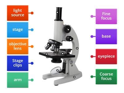 Science Microscope 的图像结果