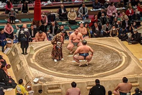 Watch Sumo Tournament And Visit Sumo Spots in Fukuoka (with Reviews)