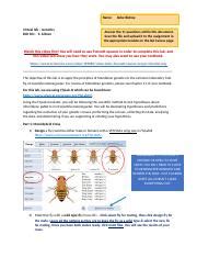 Virtual Lab Genetics 的图像结果