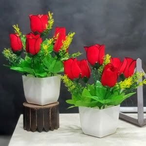 CARNIVAL Clover set of 2 Plants for Home Office Desk Decor, Small ...