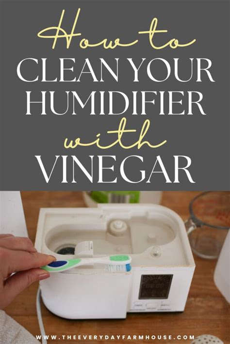 Image result for Using Vinegar to Clean Humidifier