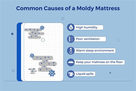 How to Spot Mold on Mattress & What to Do About It - Amerisleep