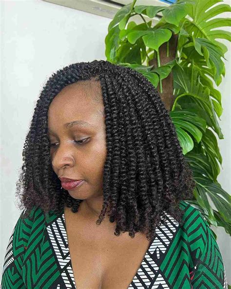 Natural Hairstyles Braids And Twists