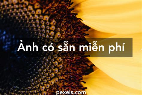 Image result for Numeric Data Type SQL