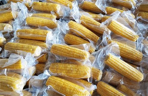 在北纬47°的黑土地上，一场关于鲜食玉米的产业升级正发生 - 知乎